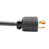 Tripp Lite P043-002 power cable Black 23.6" (0.6 m) NEMA L5-20R4