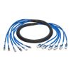 Tripp Lite N261-006-6MF-BL networking cable Blue 72" (1.83 m) Cat61