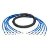 Tripp Lite N261-006-6MM-BL networking cable Blue 72" (1.83 m) Cat61