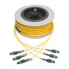 Tripp Lite N392-30M-3X8-AP InfiniBand/fibre optic cable 1181.1" (30 m) MTP OFNP Yellow1