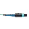 Tripp Lite N846-02M-24-P InfiniBand/fibre optic cable 72" (1.83 m) MTP Black, Turquoise2