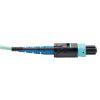 Tripp Lite N846-10M-24-P InfiniBand/fibre optic cable 396.1" (10.1 m) MTP Black, Turquoise2