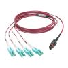 Tripp Lite N845-01M-8L-MG InfiniBand/fibre optic cable 39.4" (1 m) MPO/MTP 8x LC Black, Magenta, Turquoise3