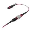 Tripp Lite N846-08N-A2B InfiniBand/fibre optic cable 7.87" (0.2 m) MTP OFNP Magenta2