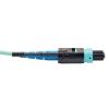 Tripp Lite N846-05M-24-P InfiniBand/fibre optic cable 192.1" (4.88 m) MTP Black, Turquoise2