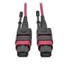 Tripp Lite N845-01M-12-MG InfiniBand/fibre optic cable 39.4" (1 m) MPO/MTP CMP Black, Magenta1
