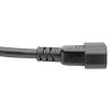 Tripp Lite P047-010 power cable Black 120.1" (3.05 m) C19 coupler C14 coupler3