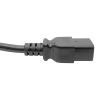 Tripp Lite P047-010 power cable Black 120.1" (3.05 m) C19 coupler C14 coupler4