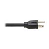 Tripp Lite P019-004 power cable Black 48" (1.22 m) C15 coupler NEMA 5-15P6