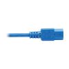 Tripp Lite P004-002-ABL power cable Blue 23.6" (0.6 m) C13 coupler C14 coupler5