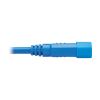 Tripp Lite P005-006-ABL power cable Blue 70.9" (1.8 m) C14 coupler C13 coupler6