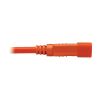 Tripp Lite P018-002-AOR power cable Orange 23.6" (0.6 m) C14 coupler C15 coupler7