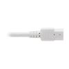 Tripp Lite P005-003-AWH power cable White 35.4" (0.9 m) C14 coupler C13 coupler5