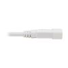 Tripp Lite P005-003-AWH power cable White 35.4" (0.9 m) C14 coupler C13 coupler6