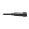 Tripp Lite P002-002 power cable Black 24" (0.61 m) C14 coupler NEMA 5-15R5