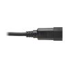 Tripp Lite P002-002 power cable Black 24" (0.61 m) C14 coupler NEMA 5-15R6