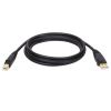 Tripp Lite U022-010 USB cable USB 2.0 120.1" (3.05 m) USB A USB B Black1