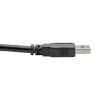 Tripp Lite U320-003-BK USB cable USB 3.2 Gen 1 (3.1 Gen 1) 35.4" (0.9 m) USB A Black2