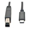 Tripp Lite U422-003-G2 USB cable USB 3.2 Gen 2 (3.1 Gen 2) 35.4" (0.9 m) USB C USB B Black1