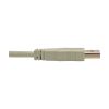 Tripp Lite U024-006-BE USB cable USB 2.0 70.9" (1.8 m) USB A Beige4