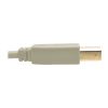 Tripp Lite U022-015-BE USB cable USB 2.0 181.1" (4.6 m) USB A USB B Beige2