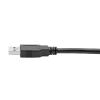 Tripp Lite U325-006 USB cable USB 3.2 Gen 1 (3.1 Gen 1) 72" (1.83 m) USB A Black5