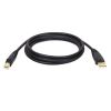 Tripp Lite U022-006 USB cable USB 2.0 70.9" (1.8 m) USB A USB B Black1