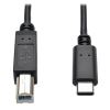 Tripp Lite U040-006 USB cable USB 2.0 72" (1.83 m) USB B USB C Black1