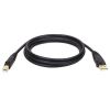 Tripp Lite U022-010-R USB cable USB 2.0 120.1" (3.05 m) USB A USB B Black1