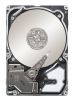 Seagate Savvio 10K.6 300GB 2.5" 6G SAS internal hard drive 10000 RPM 64 MB 2.5"1