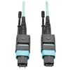 Tripp Lite N842-10M-12-MF InfiniBand/fibre optic cable 393.7" (10 m) MTP Black, Blue1