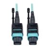 Tripp Lite N844-02M-12-P InfiniBand/fibre optic cable 72" (1.83 m) MTP Black, Turquoise1