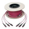 Tripp Lite N858-61M-3X8-MG InfiniBand/fibre optic cable 2401.6" (61 m) MTP Black, Magenta4