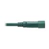 Tripp Lite P018-002-AGN power cable Green 23.6" (0.6 m) C14 coupler C15 coupler7