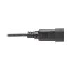 Tripp Lite P004-002-13RA power cable Black 23.6" (0.6 m) C14 coupler C13 coupler7