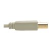 Tripp Lite U022-006-BE USB cable USB 1.1 70.9" (1.8 m) USB A USB B Beige3