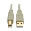 Tripp Lite U022-010-BE USB cable USB 2.0 122" (3.1 m) USB A USB B Beige1