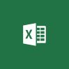 Microsoft Excel Open Value License (OVL)1