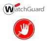 WatchGuard WG460171 security software Antivirus security 1 year(s)1