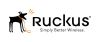 RUCKUS Networks BullDog 1 year(s)1