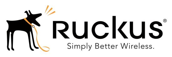 RUCKUS Networks 826-R610-1000 warranty/support extension 1 year(s)1