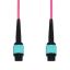 AddOn Networks ADD-MPOMPO-10M5OM4AP-MA InfiniBand/fibre optic cable 393.7" (10 m) MPO OFNP Aqua color, Magenta1