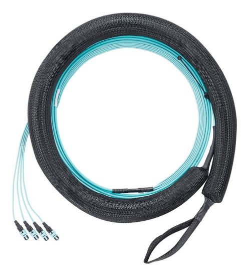 Panduit FYZWP77Y005F015 InfiniBand/fibre optic cable 179.9" (4.57 m) PanMPO MMF Aqua color, Black1