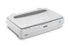 Epson Expression 13000XL Flatbed scanner 2400 x 4800 DPI A3 White5