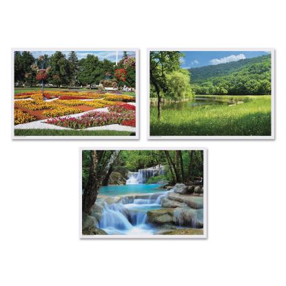 Summer Multi-Pack Placemats, 10 x 14, Three Different Scenes, 1,000/Carton1