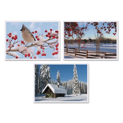 Winter Multi-Pack Placemats, 10 x 14, Three Different Scenes, 1,000/Carton1