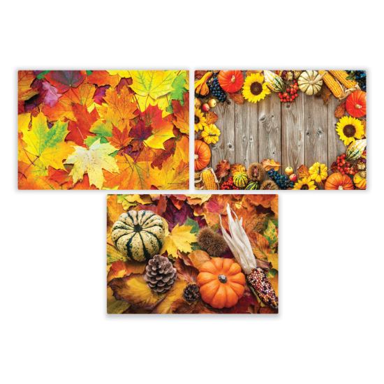 Autumn Days Multi-Pack Placemats, 10 x 14, Three Different Designs, 1,000/Carton1