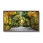 NEC MultiSync X554HB signage display Digital signage flat panel 55" LCD 2700 cd/m² Full HD Black1