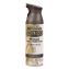 Universal Premium Spray Paint, Flat Iron, 12 oz Aerosol Can1