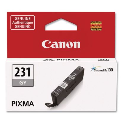 6678C001 (CLI-231) Ink, 800 Page-Yield, Gray1